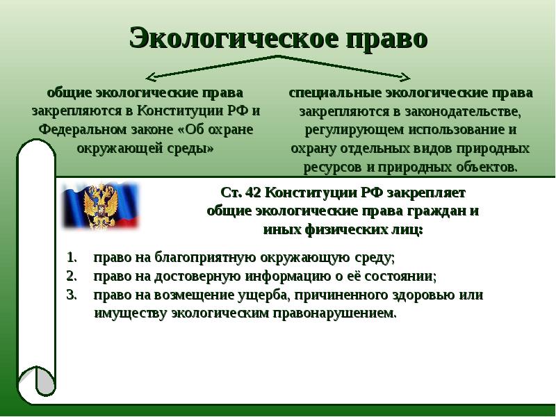 План экологические права и обязанности граждан рф